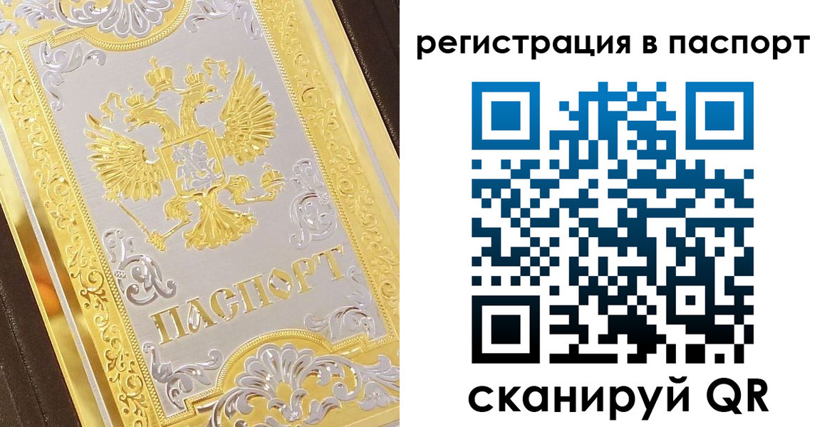 прописка 2025 в Химках